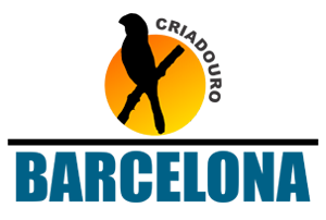 MORRE UMA LENDA!!!!!!! | Criadouro Barcelona Curió - Iberê Mantovani São Caetano